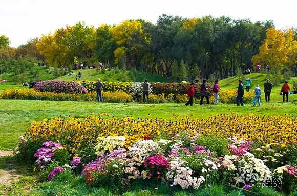 乌鲁木齐植物园风光旅游