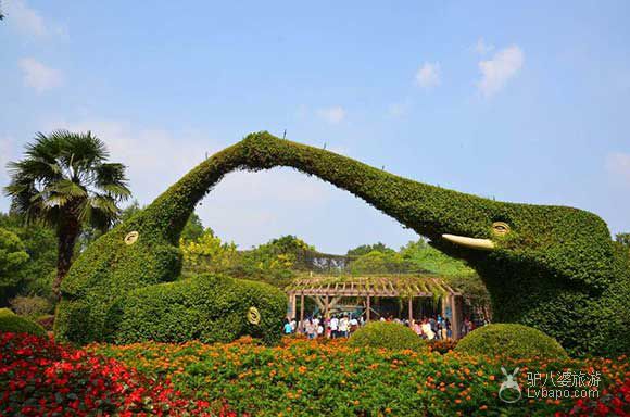 五彩斑斓滴—上海动物园美景