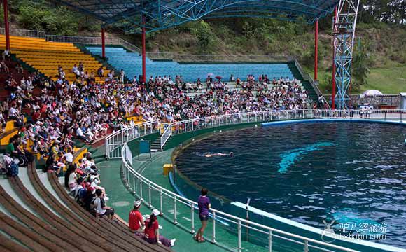 深圳野生动物园之一海洋馆
