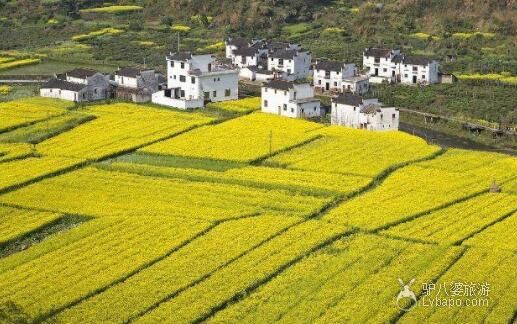 婺源旅游