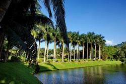 兴隆热带植物园景点介绍