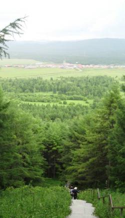 阿尔山国家森林公园景点介绍